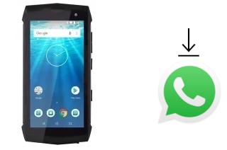 Come installare WhatsApp su Qilive Q10 Rugged