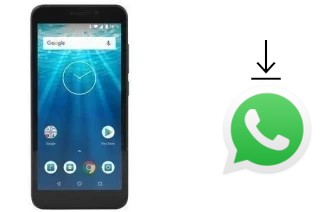 Come installare WhatsApp su Qilive Q10