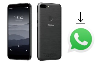 Come installare WhatsApp su Qilive Q5