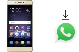 Come installare WhatsApp su QMobile King Kong Max