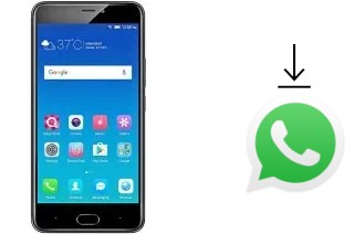 Come installare WhatsApp su QMobile Noir A1