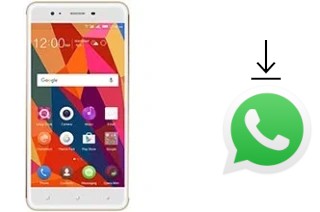 Come installare WhatsApp su QMobile Noir LT750