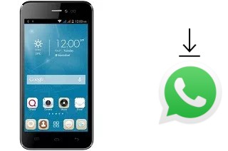 Come installare WhatsApp su QMobile Noir i5i