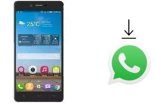 Come installare WhatsApp su QMobile Noir M300