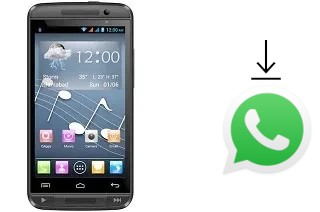 Come installare WhatsApp su QMobile Noir A115 ATV