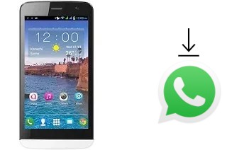 Come installare WhatsApp su QMobile Noir A550