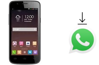 Come installare WhatsApp su QMobile Noir i7