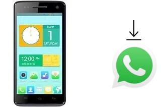 Come installare WhatsApp su QMobile Noir i9