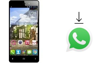 Come installare WhatsApp su QMobile Noir Z4