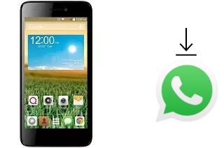 Come installare WhatsApp su QMobile Noir X800