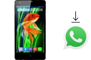 Come installare WhatsApp su QSmart MB5011