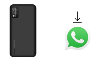 Come installare WhatsApp su Quantum YOLO