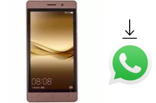 Come installare WhatsApp su ROYQUEEN RoyQueen Regal RQ540