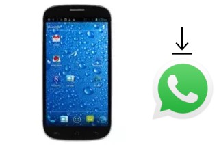 Come installare WhatsApp su Runfast R463