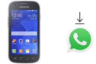 Come installare WhatsApp su Samsung Galaxy Ace Style