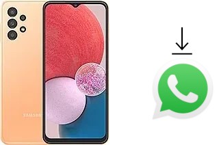 Come installare WhatsApp su Samsung Galaxy A13