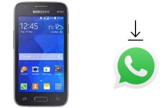 Come installare WhatsApp su Samsung Galaxy S Duos 3