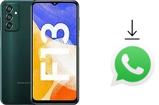 Come installare WhatsApp su Samsung Galaxy F13