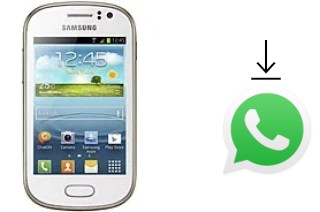 Come installare WhatsApp su Samsung Galaxy Fame S6810