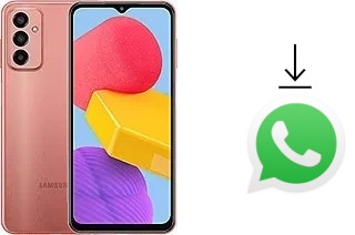 Come installare WhatsApp su Samsung Galaxy M13