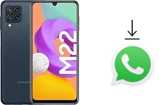 Come installare WhatsApp su Samsung Galaxy M22