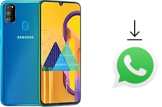 Come installare WhatsApp su Samsung Galaxy M30s