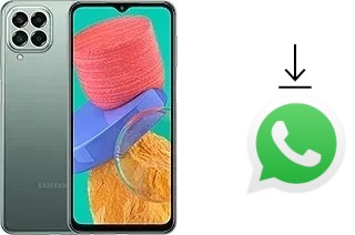 Come installare WhatsApp su Samsung Galaxy M33