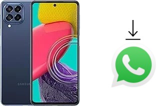 Come installare WhatsApp su Samsung Galaxy M53