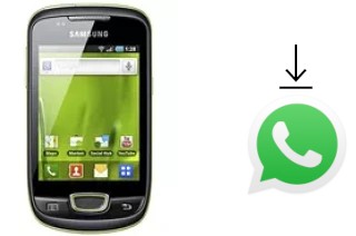 Come installare WhatsApp su Samsung Galaxy Mini S5570