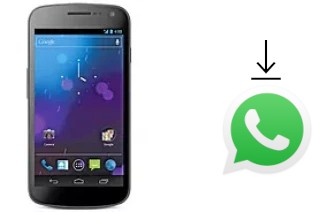 Come installare WhatsApp su Samsung Galaxy Nexus I9250M