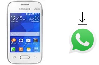 Come installare WhatsApp su Samsung Galaxy Pocket 2