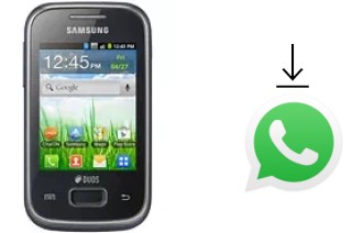 Come installare WhatsApp su Samsung Galaxy Pocket Duos S5302