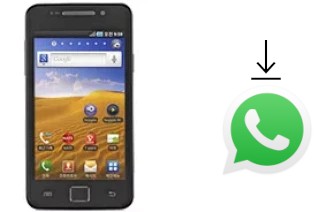 Come installare WhatsApp su Samsung M190S Galaxy S Hoppin