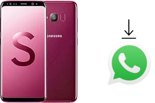 Come installare WhatsApp su Samsung Galaxy S Light Luxury