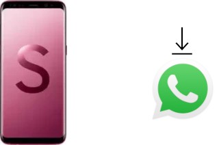 Come installare WhatsApp su Samsung Galaxy S Lite Luxury Edition