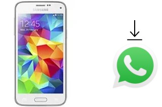 Come installare WhatsApp su Samsung Galaxy S5 mini