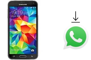 Come installare WhatsApp su Samsung Galaxy S5 Duos