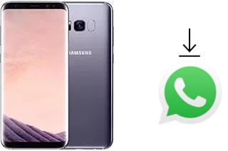 Come installare WhatsApp su Samsung Galaxy S8+