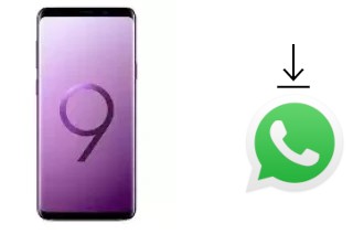 Come installare WhatsApp su Samsung Galaxy S9 Exynos