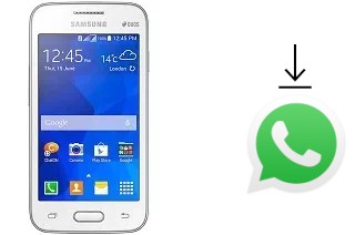 Come installare WhatsApp su Samsung Galaxy V Plus