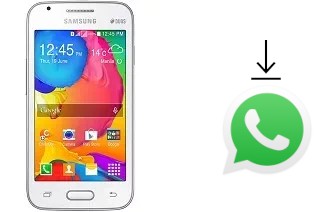 Come installare WhatsApp su Samsung Galaxy V