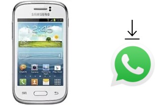 Come installare WhatsApp su Samsung Galaxy Young S6310