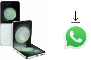 Come installare WhatsApp su Samsung Galaxy Z Flip5