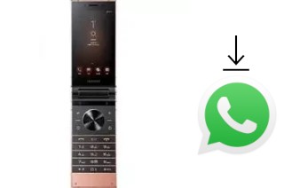 Come installare WhatsApp su Samsung W2019