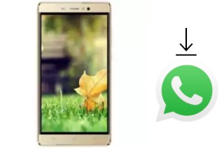 Come installare WhatsApp su Seatel T5