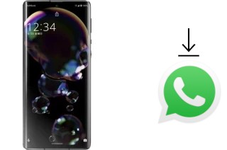 Come installare WhatsApp su Sharp Aquos R6