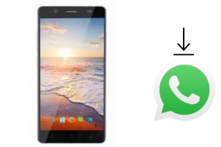 Come installare WhatsApp su Shenzhen Q5501