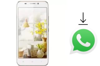 Come installare WhatsApp su SingTech I-Crystal