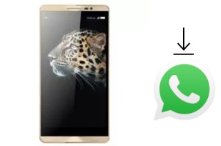 Come installare WhatsApp su SingTech Infinity L1 Plus