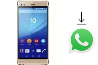 Come installare WhatsApp su SingTech Sapphire Z503